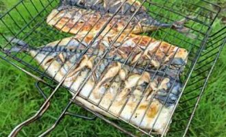 скумбрія на мангалі