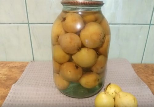 Як закрити на зиму компот з груш без стерилізації