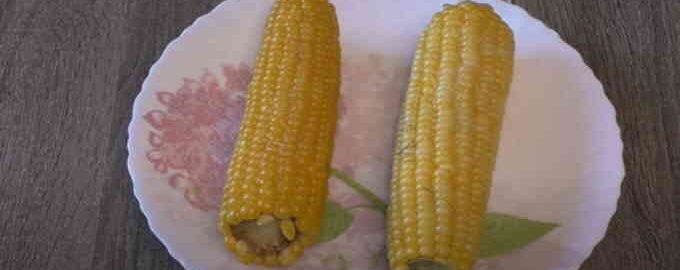 Як правильно і скільки варити качан кукурудзи в каструлі