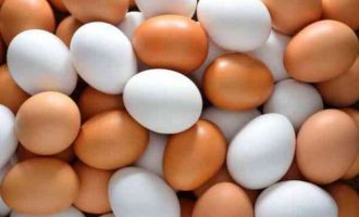 цікаві факти про яйця