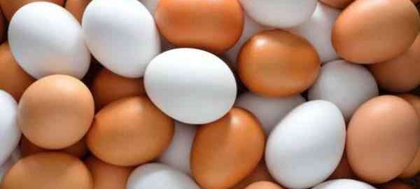 цікаві факти про яйця